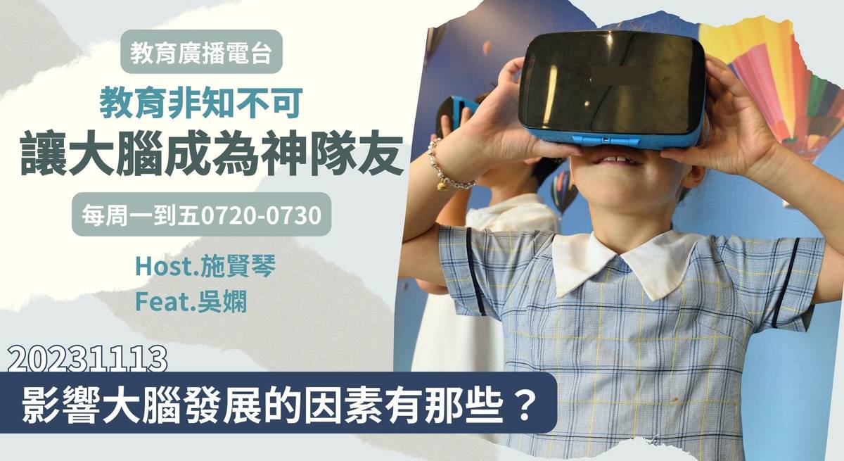 影響大腦發展的因素有那些？