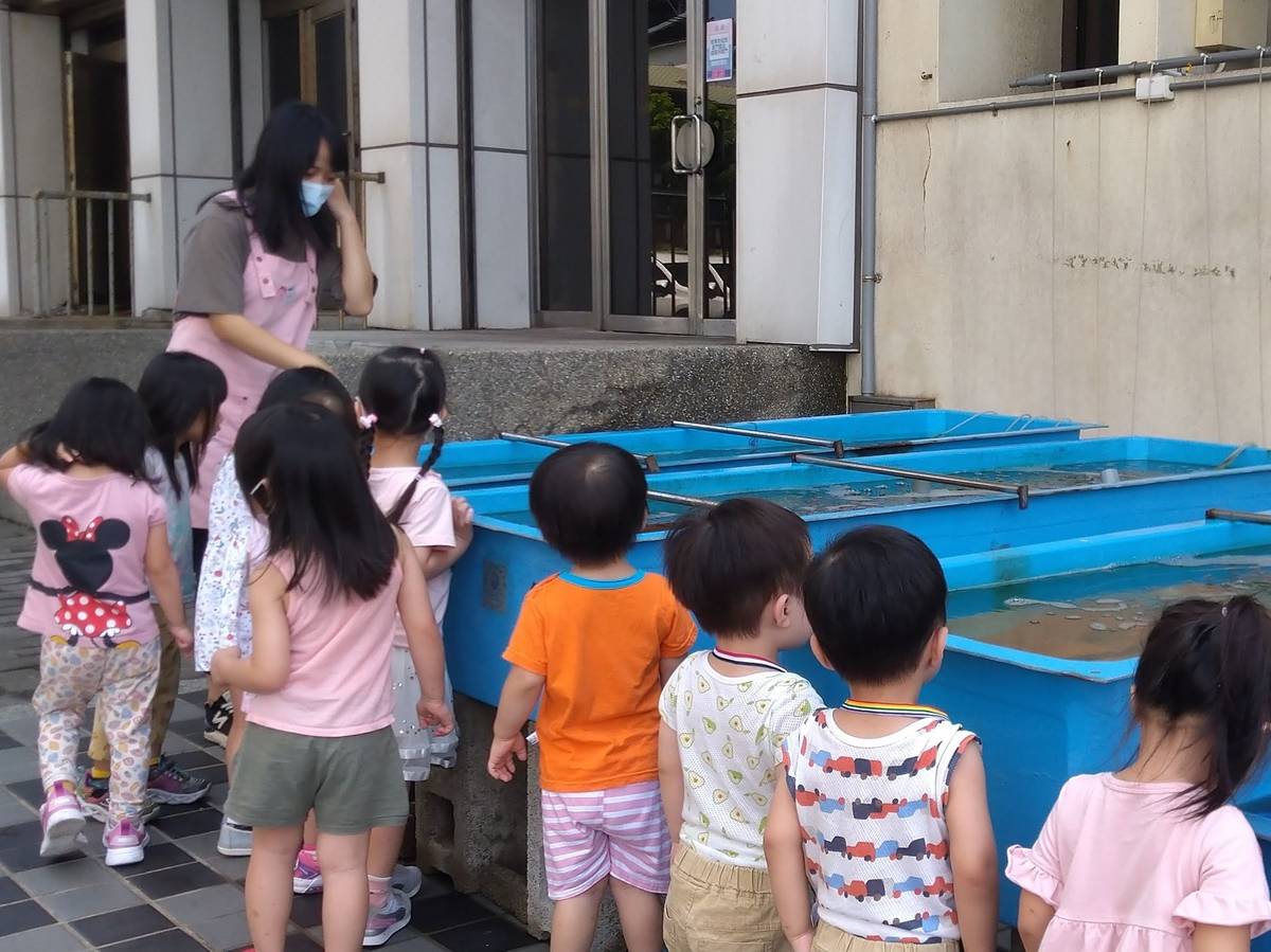 幼兒觀察蚵仔養殖
