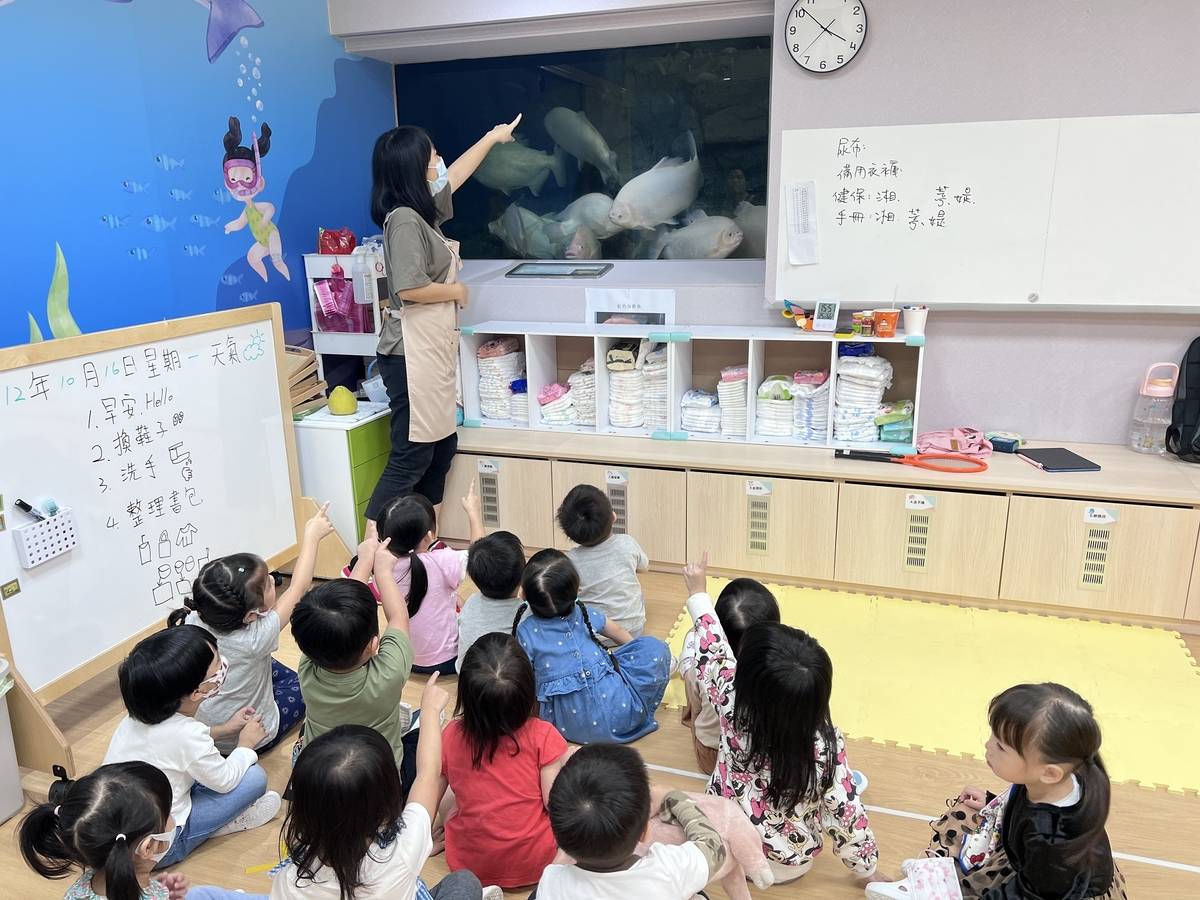 教室內保留水產試驗所水族箱，幼兒可以直接觀察海洋生物