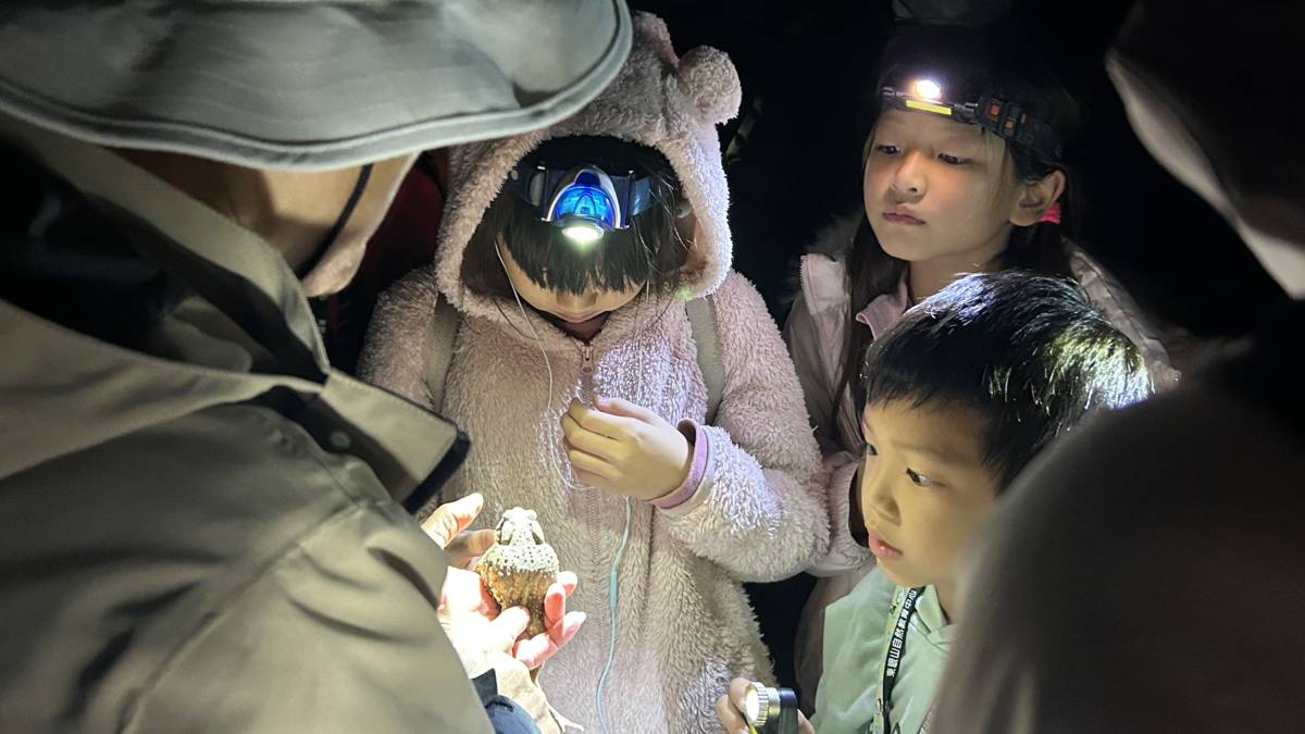 夜間觀察.jpg
