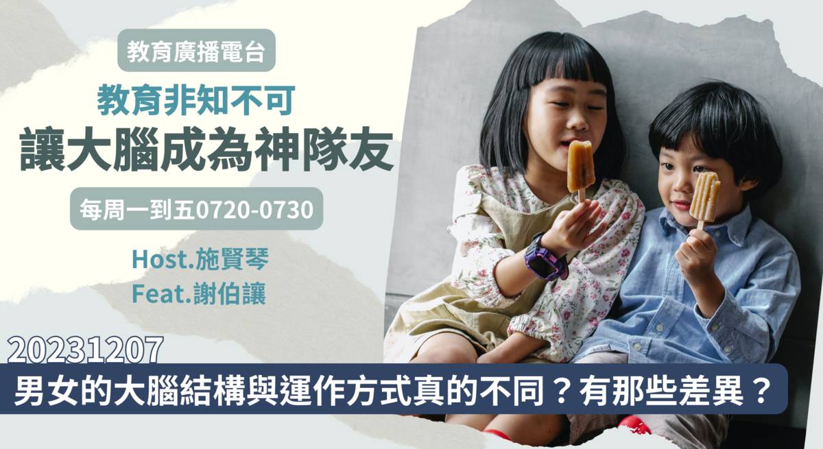 男女的大腦結構與運作方式真的不同？有那些差異？
