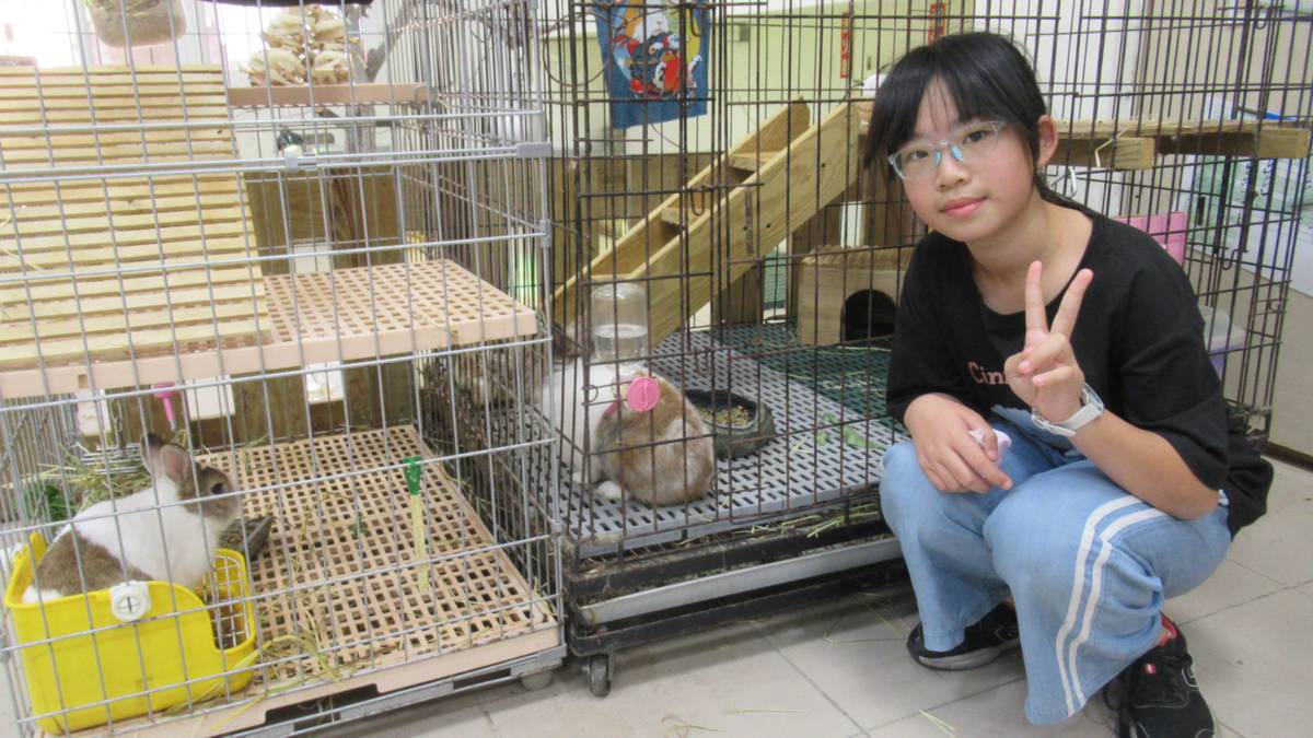 加入生態研究社的陳思羽，常透過照顧動物的經驗與書本圖鑑相互對照，他發現兔子不一定都愛吃蘿蔔，校內的兔子最愛吃草。