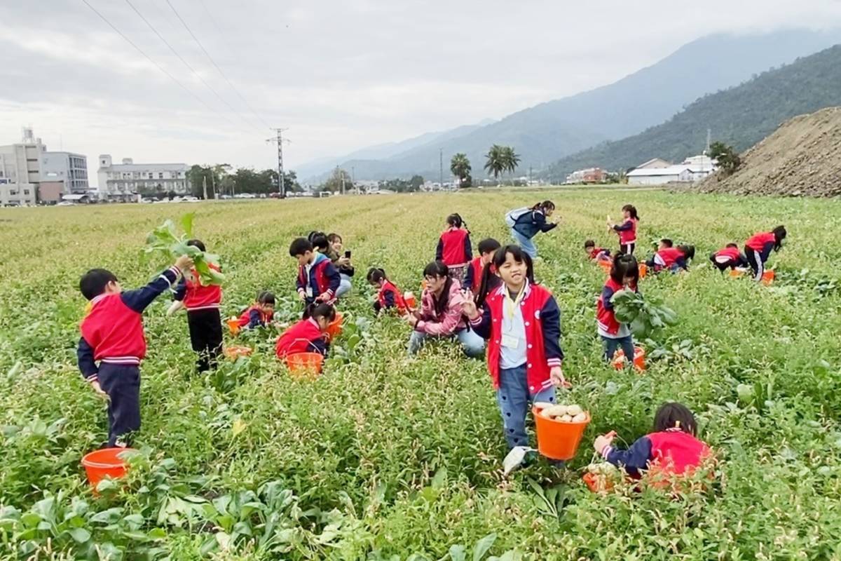 臺東縣關山鎮公所與關山鎮農會合作辦理「關山蘿蔔季」農遊體驗，邀請臺北愛迪爾國際幼兒園學童搶先體驗。