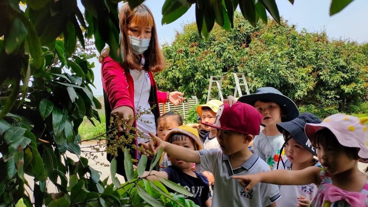 學童們參訪果園，試圖指認作物（圖源：明道大學附設幼兒園）