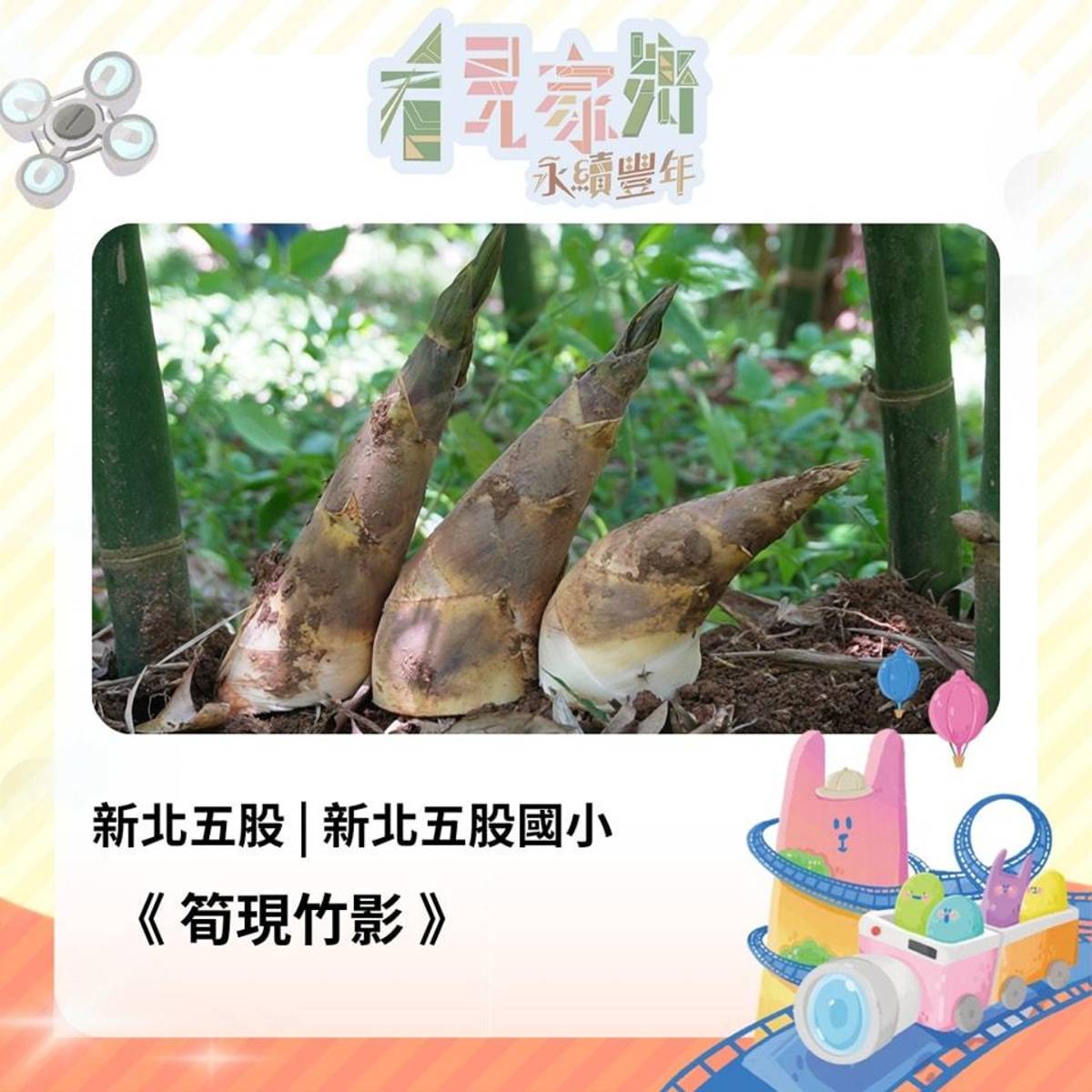 五股位於新北市，旁邊緊鄰淡水河，以綠竹筍聞名。因地點位於觀音山背風側，沒有強風吹襲，加上適當的氣溫、濕度，讓五股的綠竹筍品質特別好。