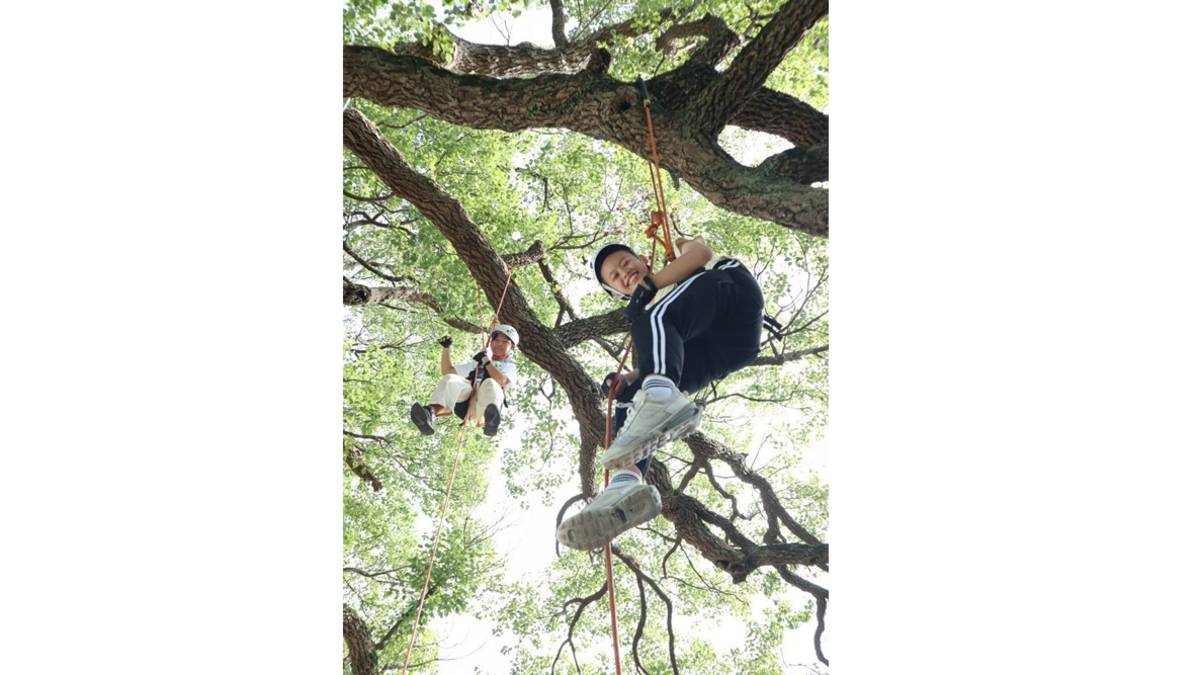 同安國小利用攀樹課程讓學生挑戰克服恐懼(圖片來源：教育處提供)