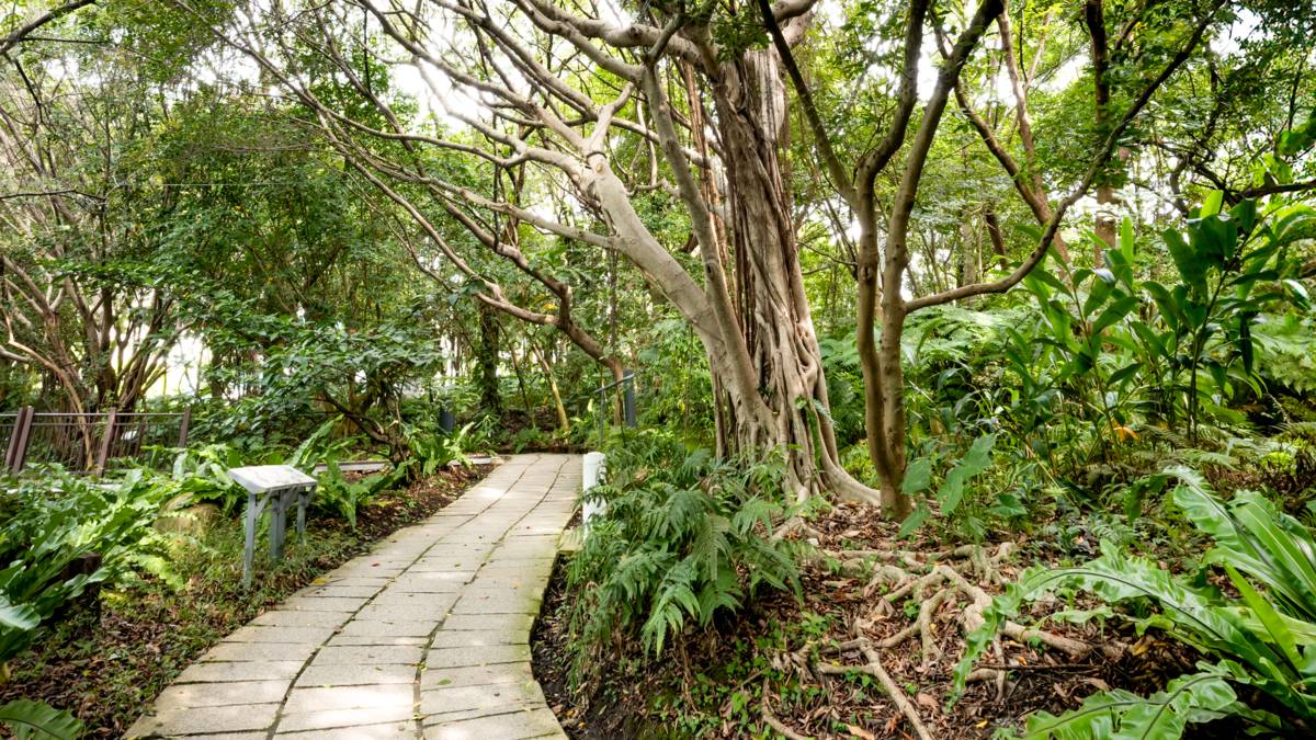 科博館植物園：國立自然科學博物館提供