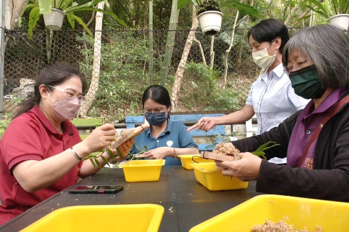 太湖原生植物園種植上千種原生植物，為讓更多人認識原生植物魅力，進而重視保育、傳承，規畫農遊體驗，希望讓下一代也能看見美麗的原生種。