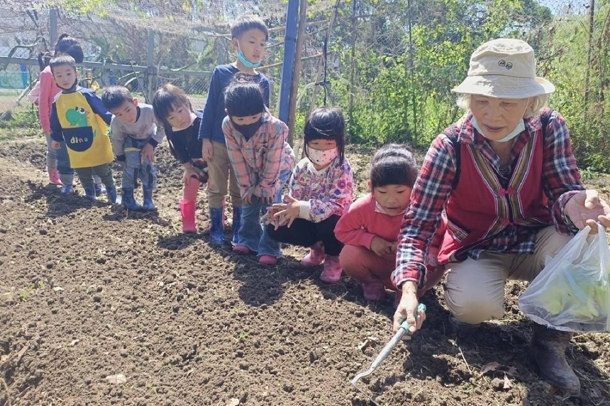 臺東縣忠孝國小附幼於春耕季節學習mikarkar(挖土種植) (教育部提供)