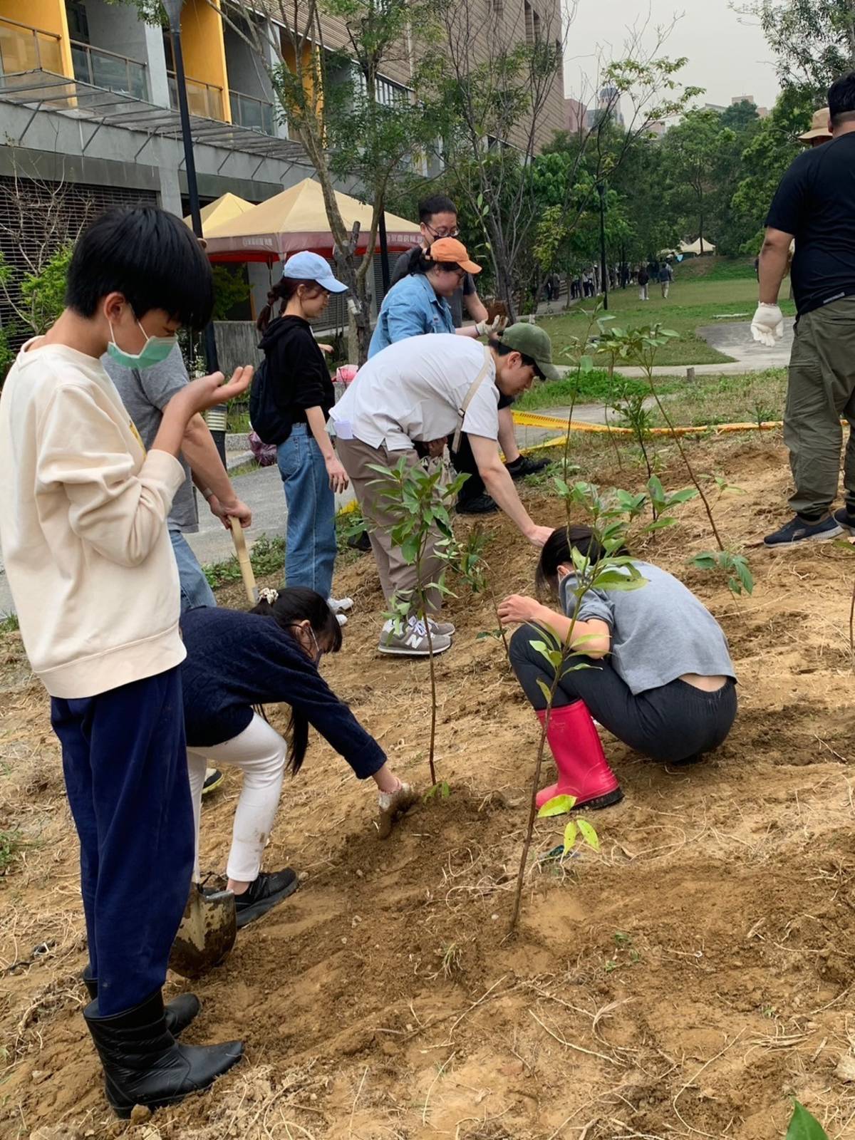 小朋友專注地種下樹苗