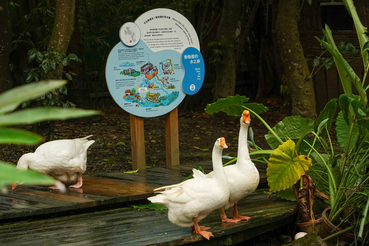 響應世界水資源日，臺北市立動物園邀請多個水資源保育夥伴團體舉辦活動
