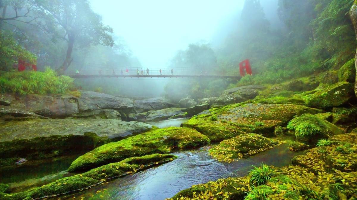 杉林溪森林生態園區內有十大景觀可欣賞(圖片來源：杉林溪生態園區提供)