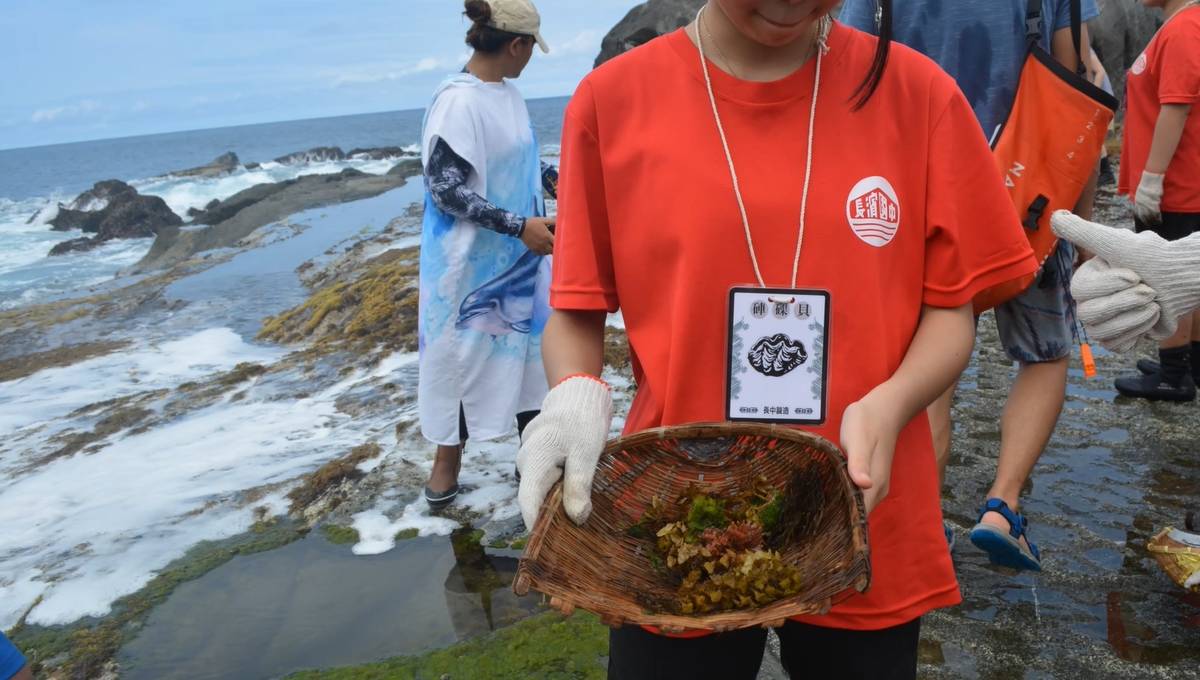認識海菜