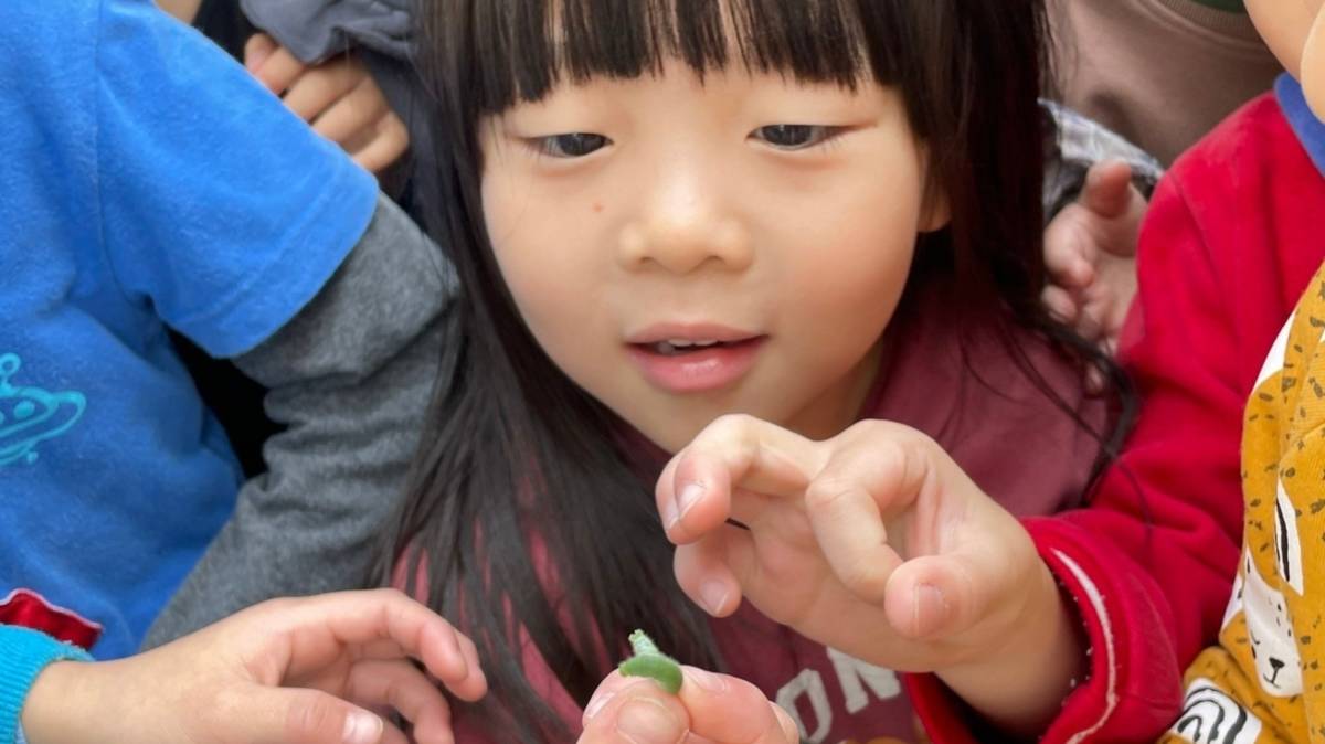 西中非營利幼兒園提供