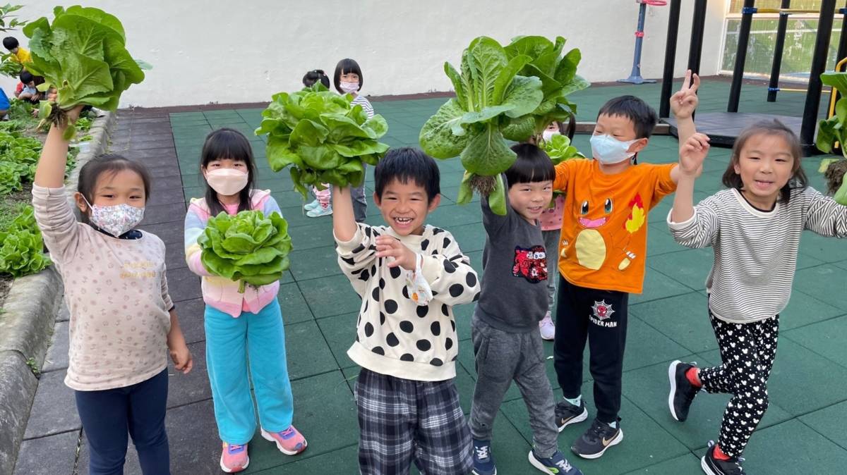 西中非營利幼兒園提供