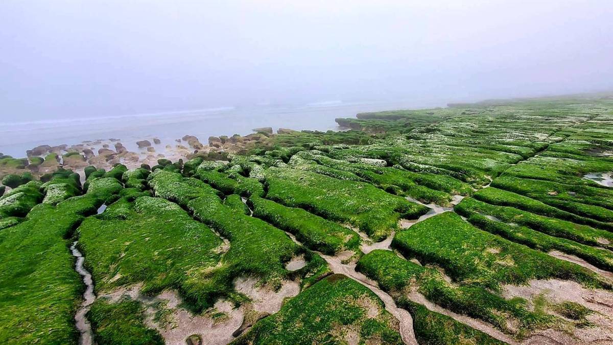 老梅綠石槽(俞雅綾提供)