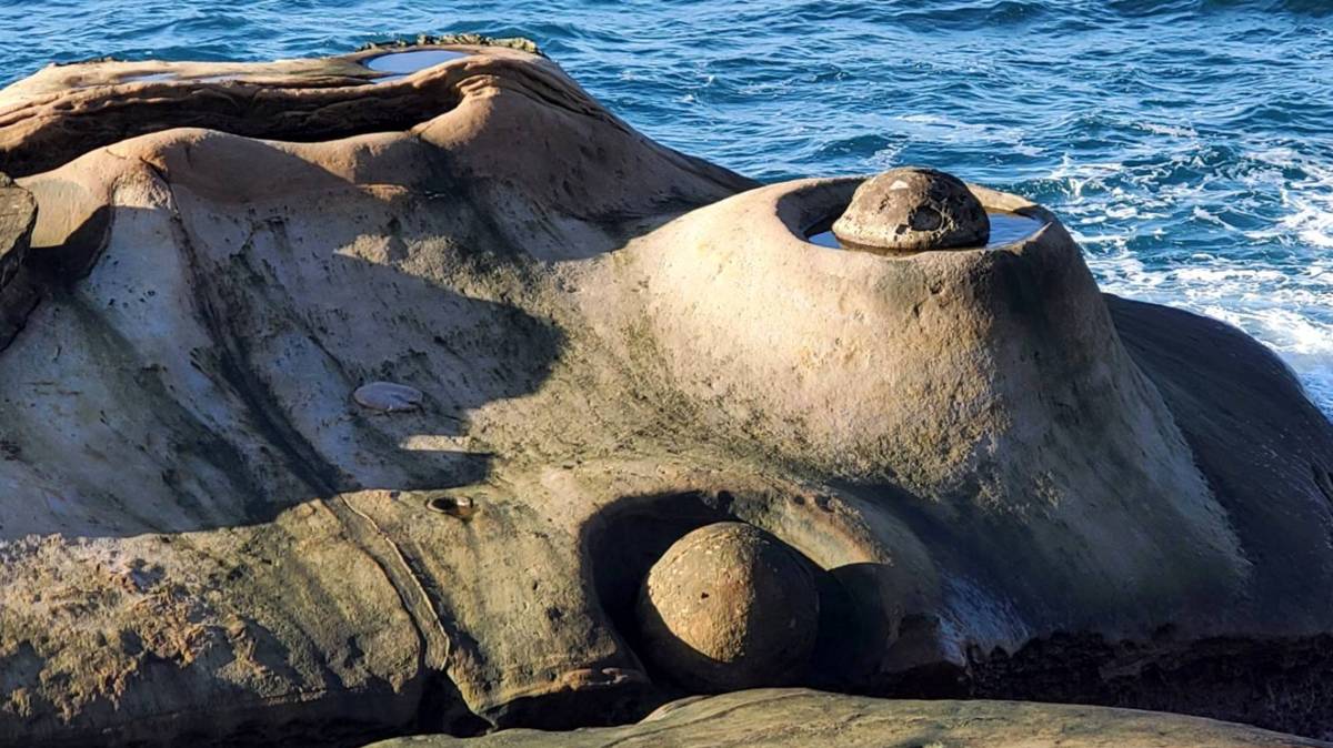北海岸獨有奇石(俞雅綾提供)