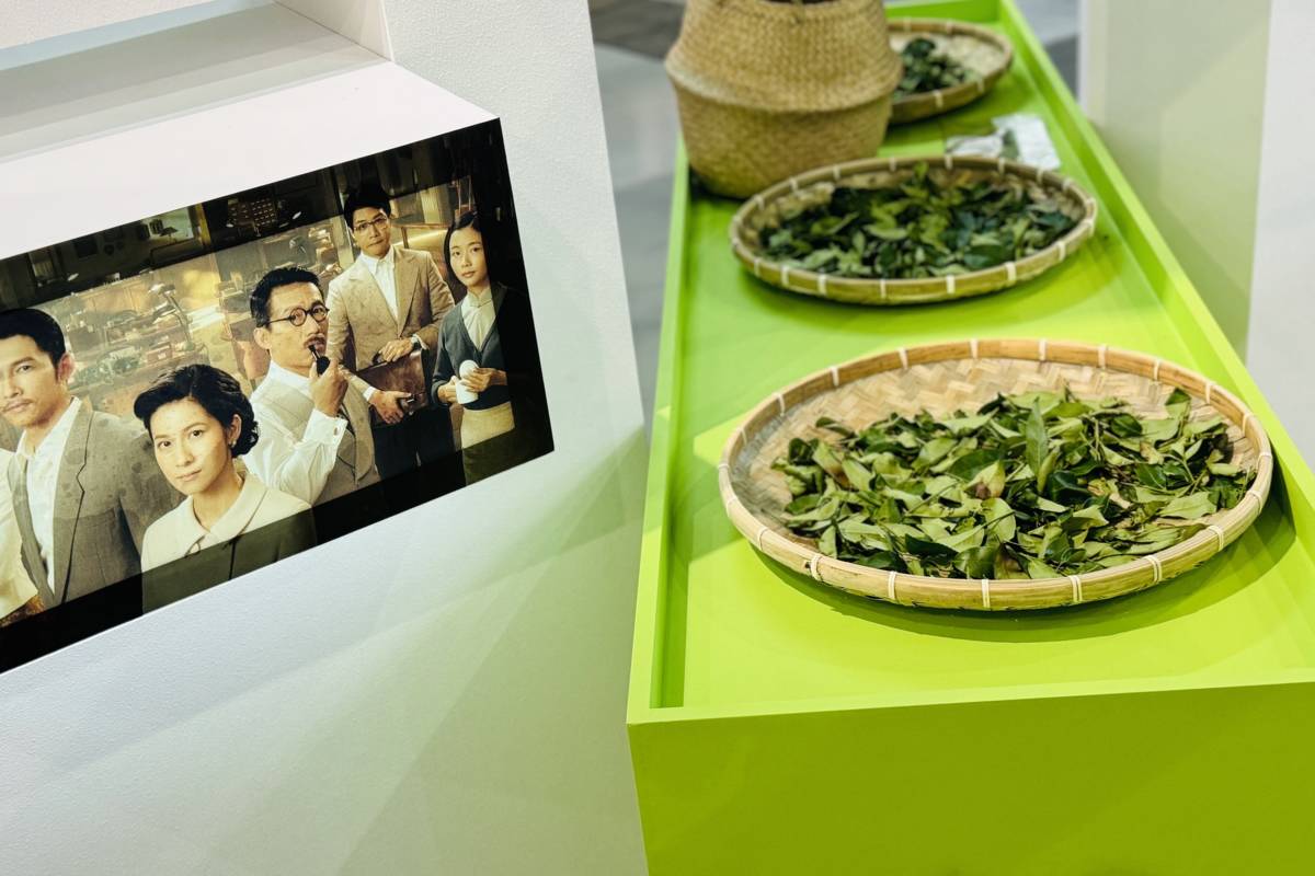 新竹北埔「茶金」時期，被小綠葉蟬叮咬的「膨風茶」產生天然蜜香口感風靡全球，成為文化部推薦的路線之一。(文化部提供)