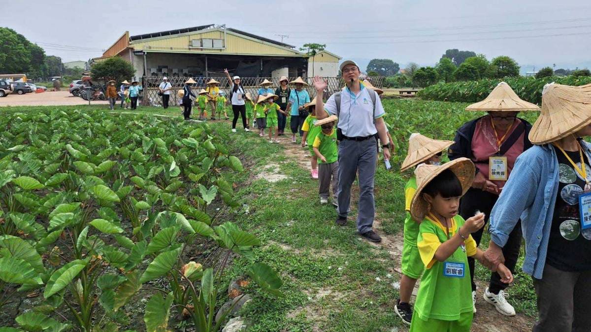 許多學校會帶著學生來林內教芋部進行食農教育(圖片來源：林內教芋部臉書專頁)