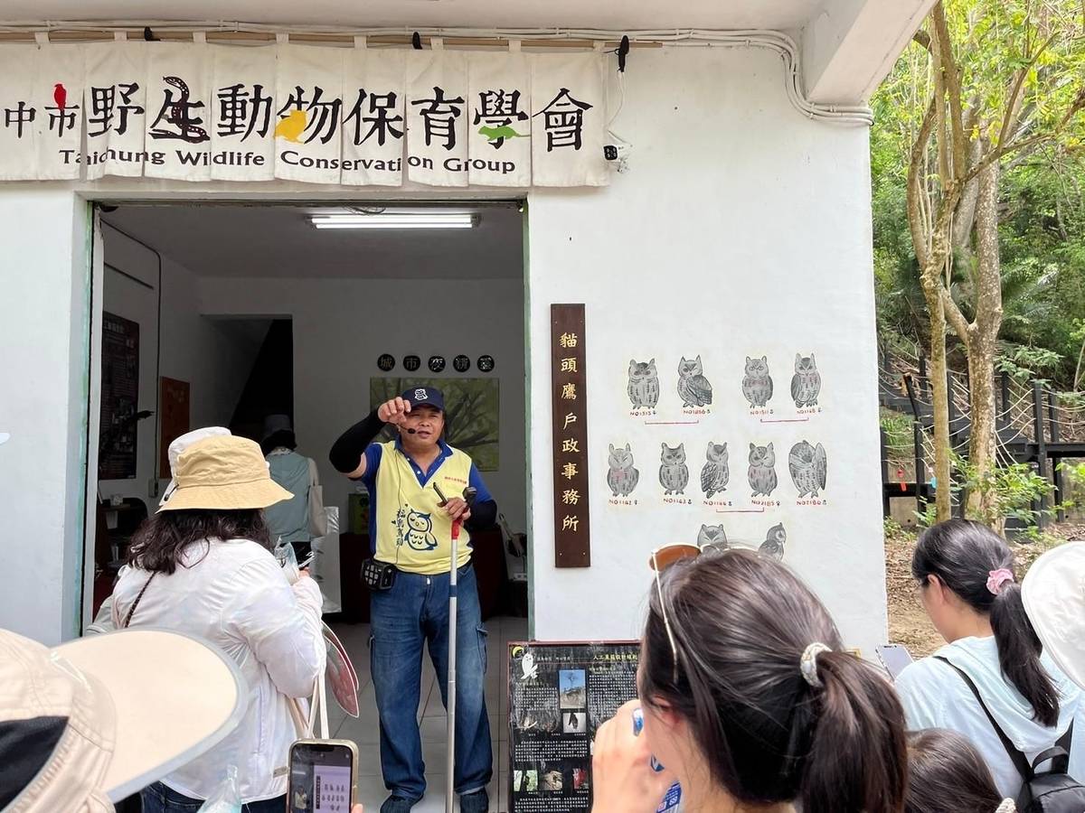 貓頭鷹戶政事務所