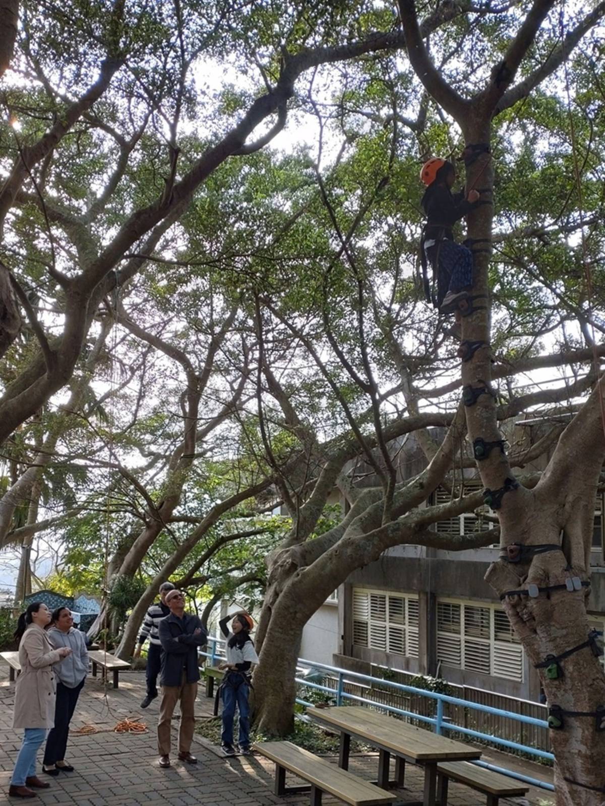 貝里斯外賓參訪臺北市雙溪國小山林冒險特色課程 (教育部提供)