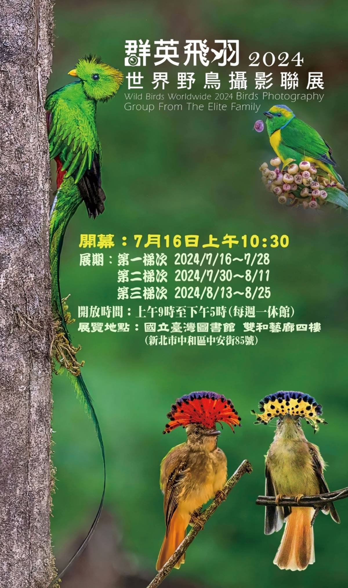 群英飛羽世界野鳥攝影聯展。(國臺圖提供)
