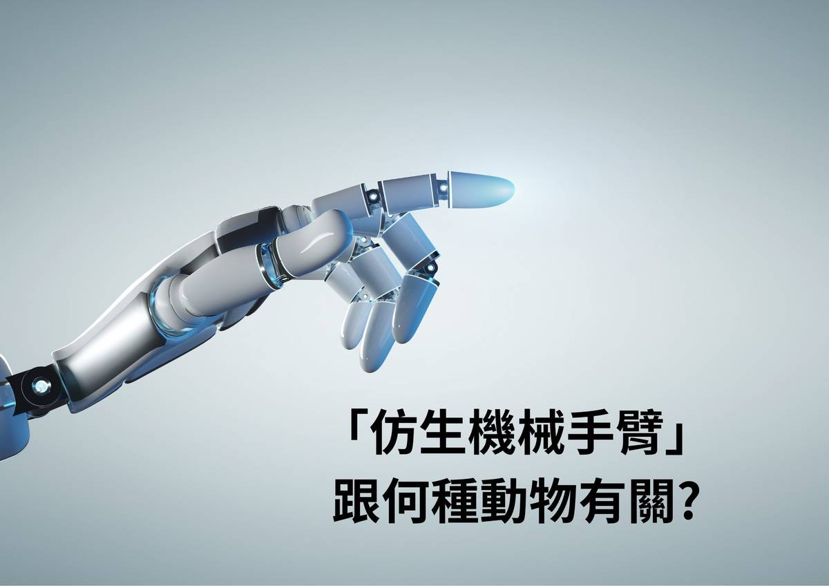 機器手臂