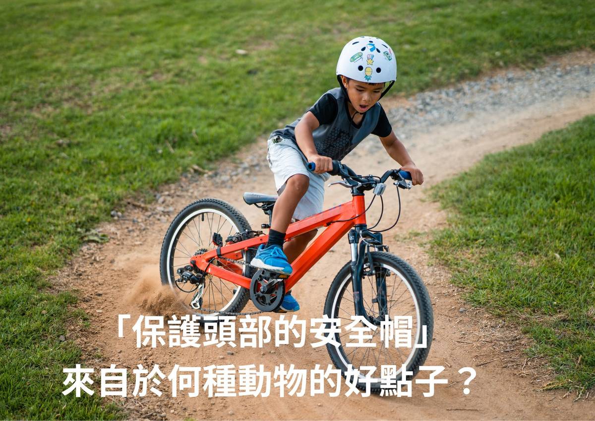 安全帽