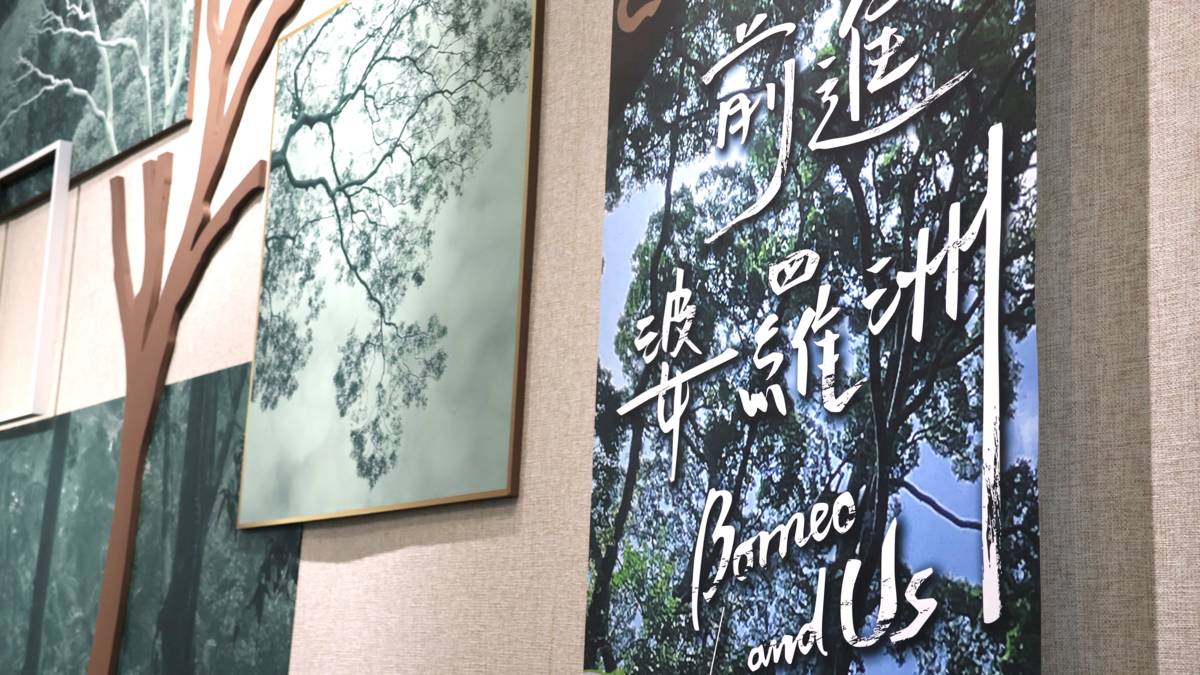 《前進婆羅洲：我們與婆羅洲的距離》即日起至11月15日在第一特展室展出，深入淺出傳遞環境意識，歡迎來一趟知性的林中探險。圖片提供／國立自然科學博物館.jpg