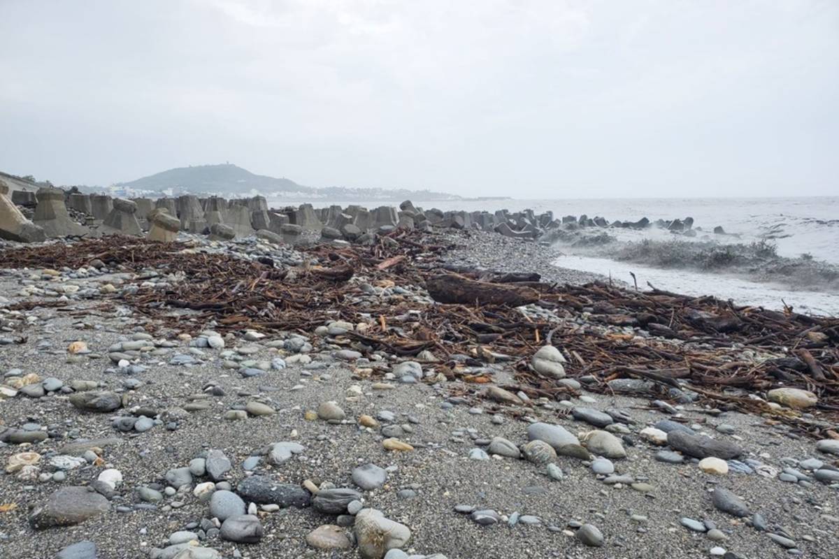 凱米颱風挾帶豪雨，臺東山區大量漂流木沖刷入海，囤積岸際，海巡署東部分署呼籲，在主管機關尚未公告民眾自由撿拾前，切勿隨意拾取，以免觸法。
