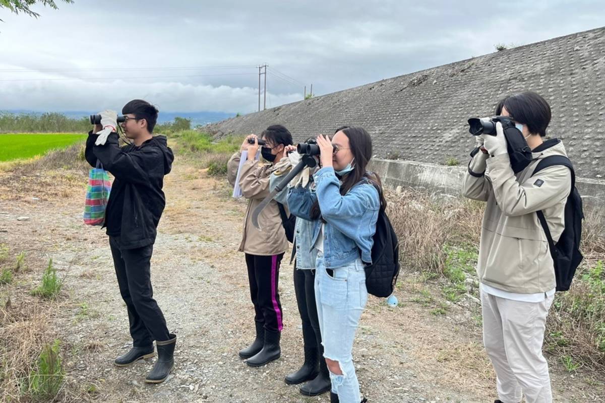 池上青年培力工作站今年與國立臺東大學生命科學系合作，由學子到田間進行生態調查，除學習生態調查技巧外，也協助青農落實ASR，達到社會實踐的目的。
