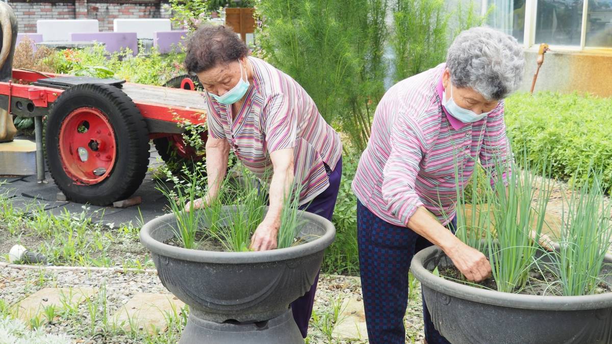 簡易的抬高式花台，長輩能親近與操作園藝療育活動