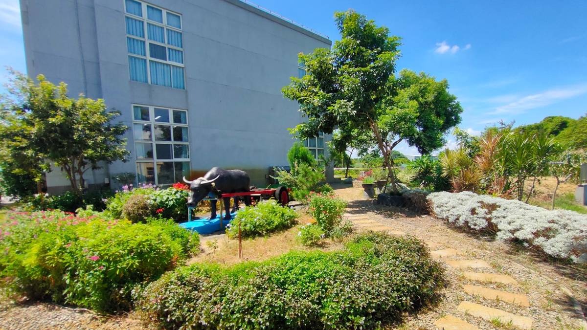 大崙社區療育庭園中環形與平坦的步道，讓長輩可以安心探索與散步