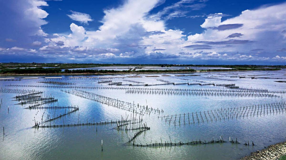 21_七股潟湖_雲嘉南濱海風景區管理處