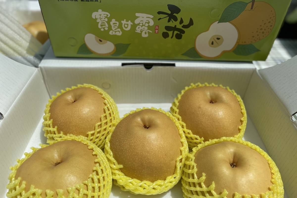 參賽得獎果品