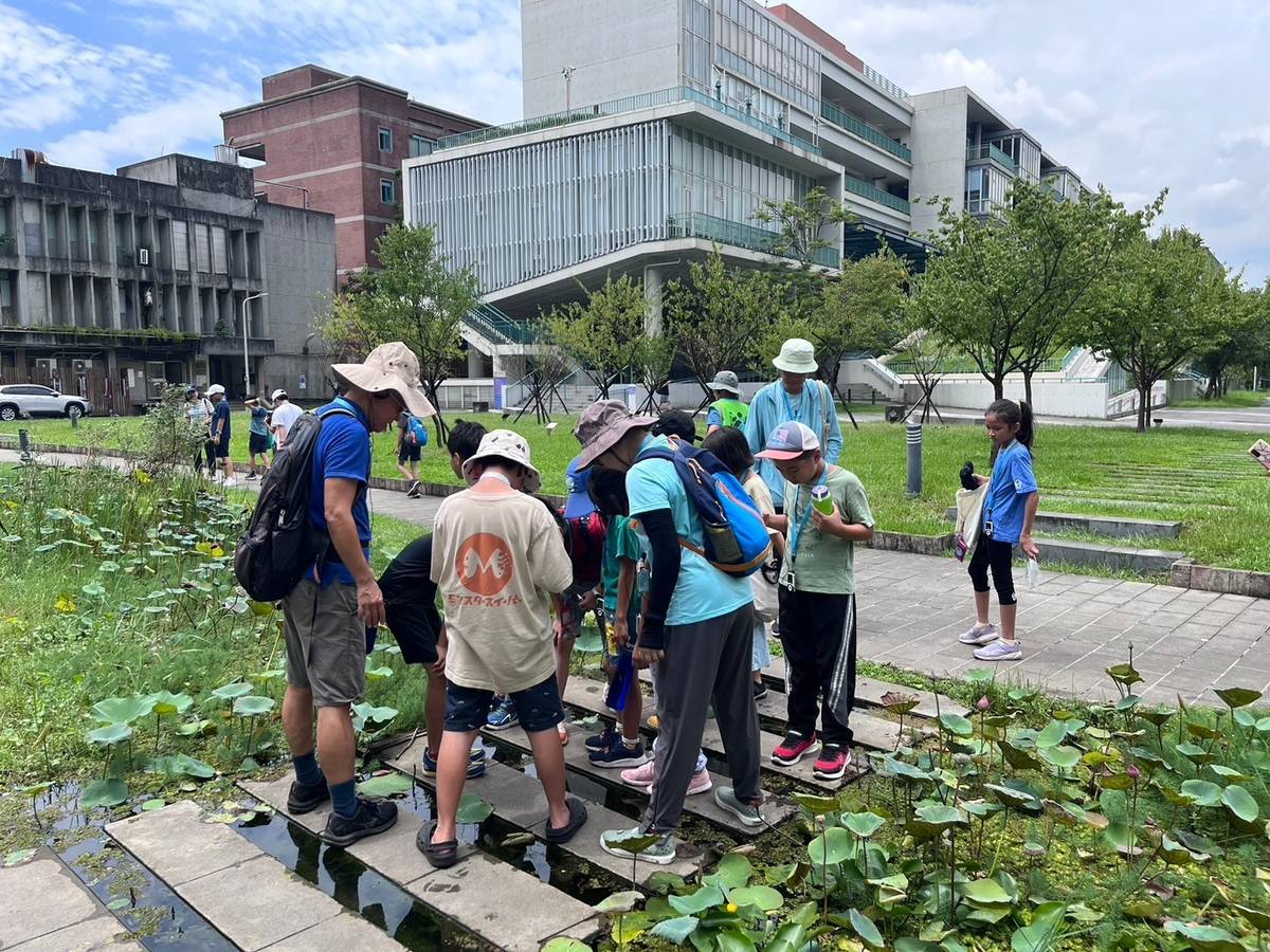 學員於臺大校園研究水生動植物