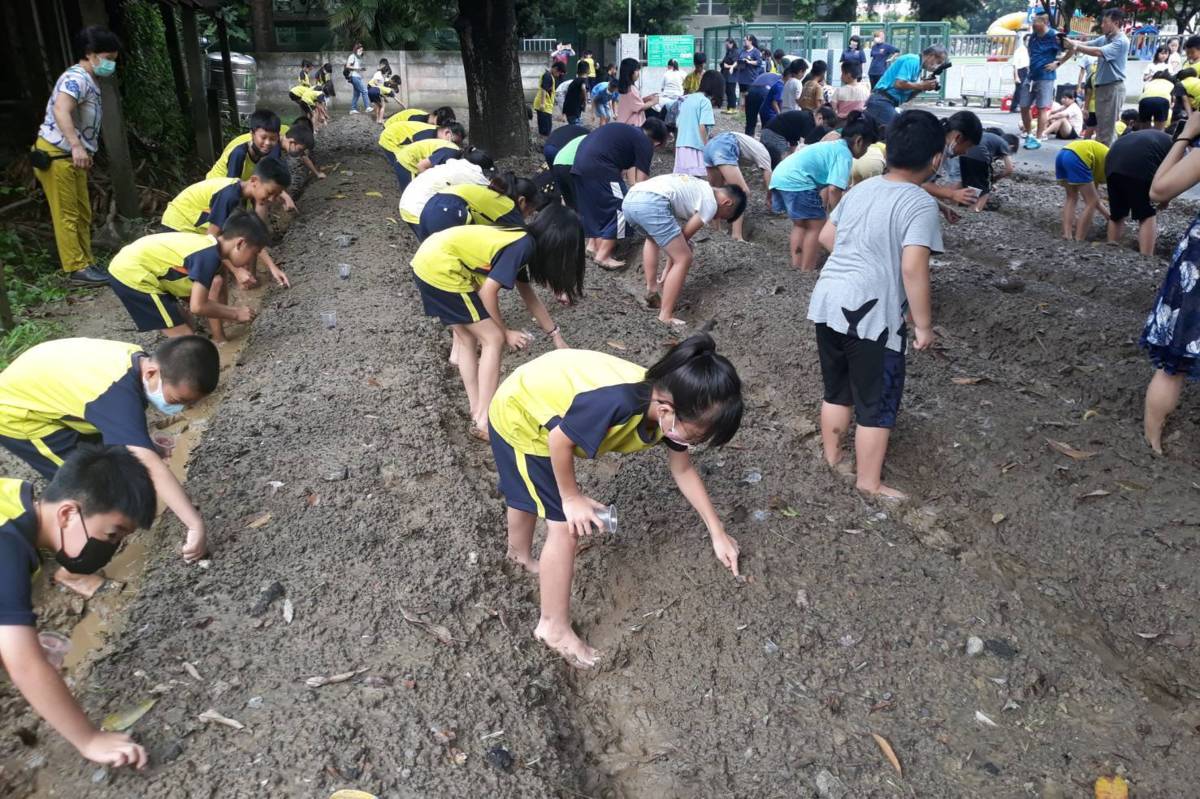 四年級學生在班級菜園種下黑豆（圖源：文昌國小）