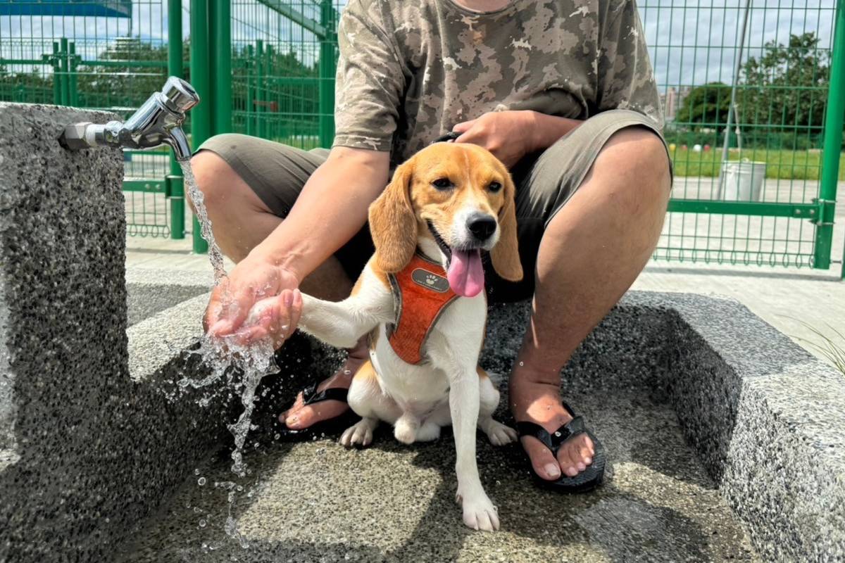 寵物公園外有清洗設備供民眾清洗毛孩