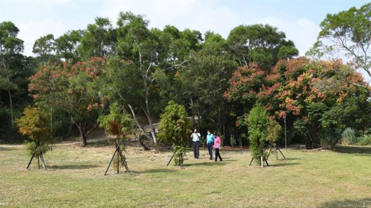 彰化景點又增一處香山步道東方公園