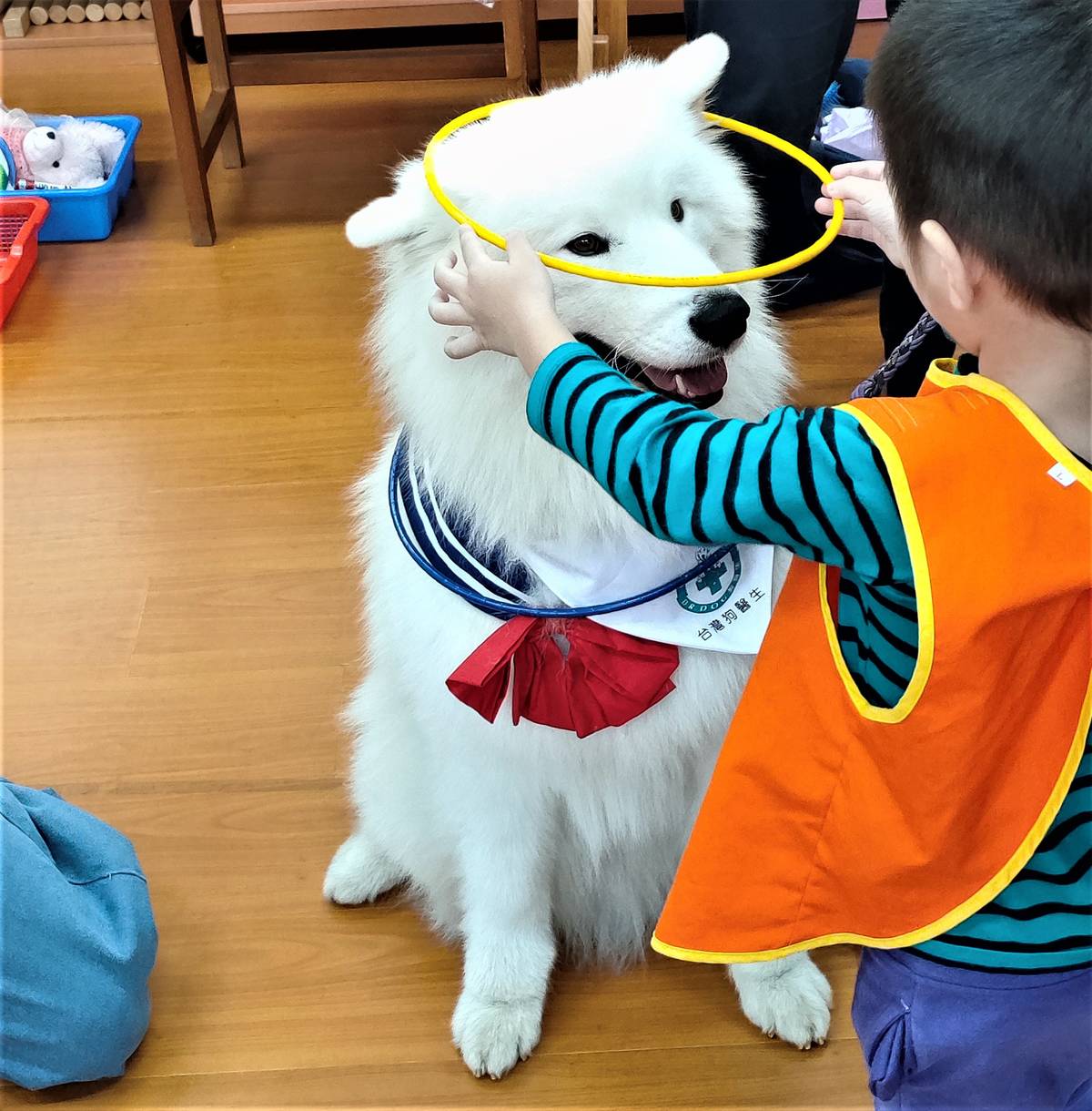 台灣狗醫生入園陪伴特生