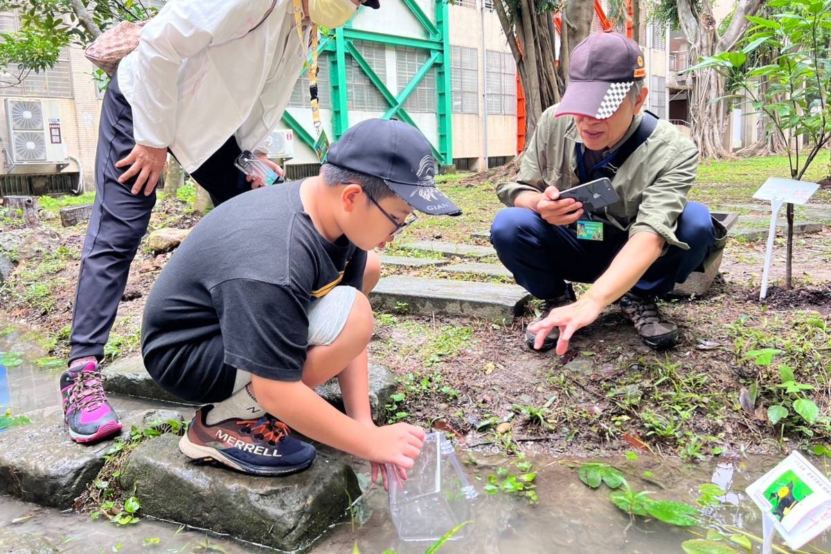 信義國中師生整理生態池，復育臺灣原生魚種高體鰟鮍