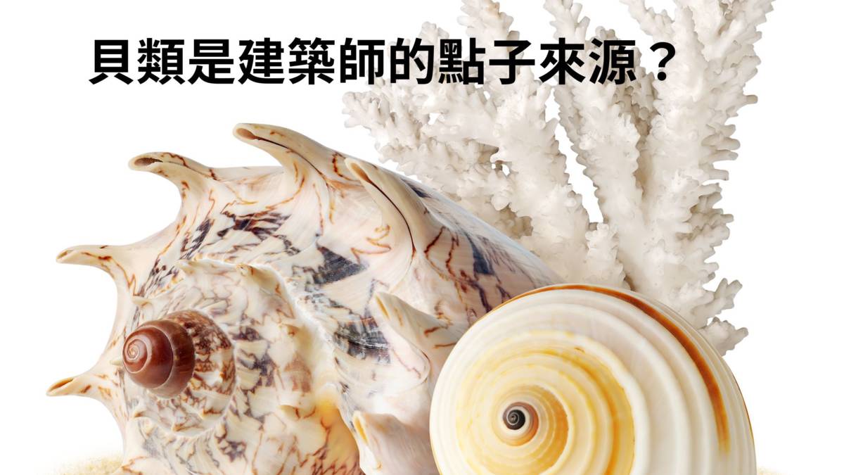 貝類