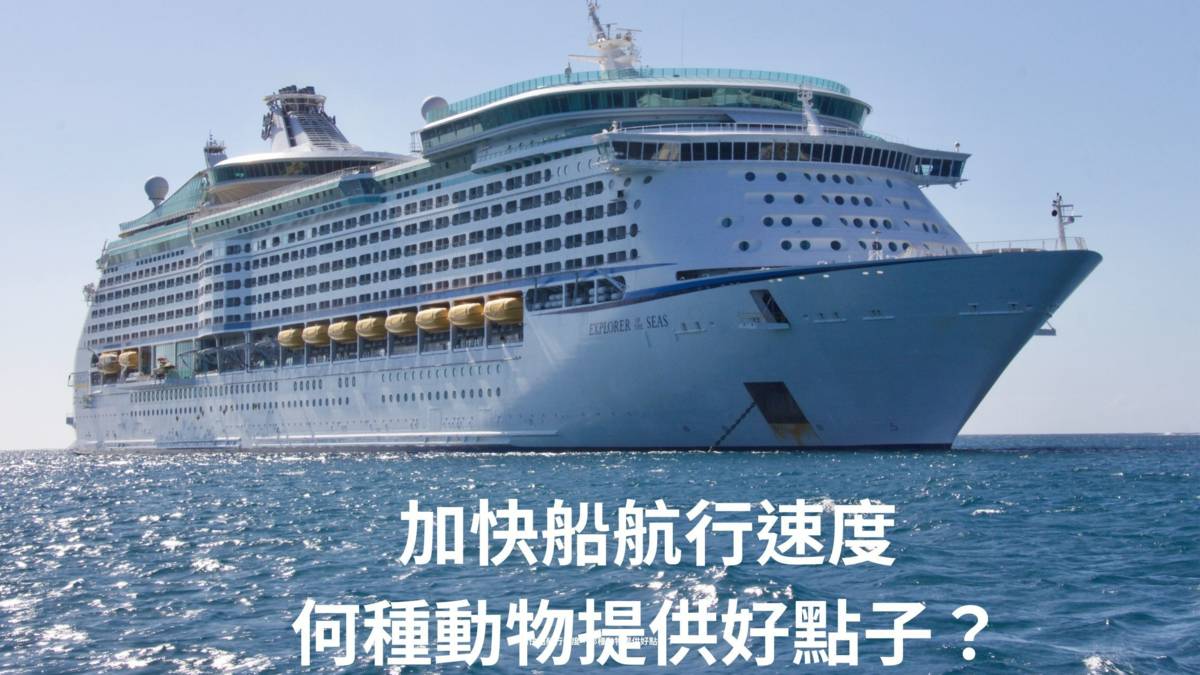 加快船航行速度，那種動物提供好點子？