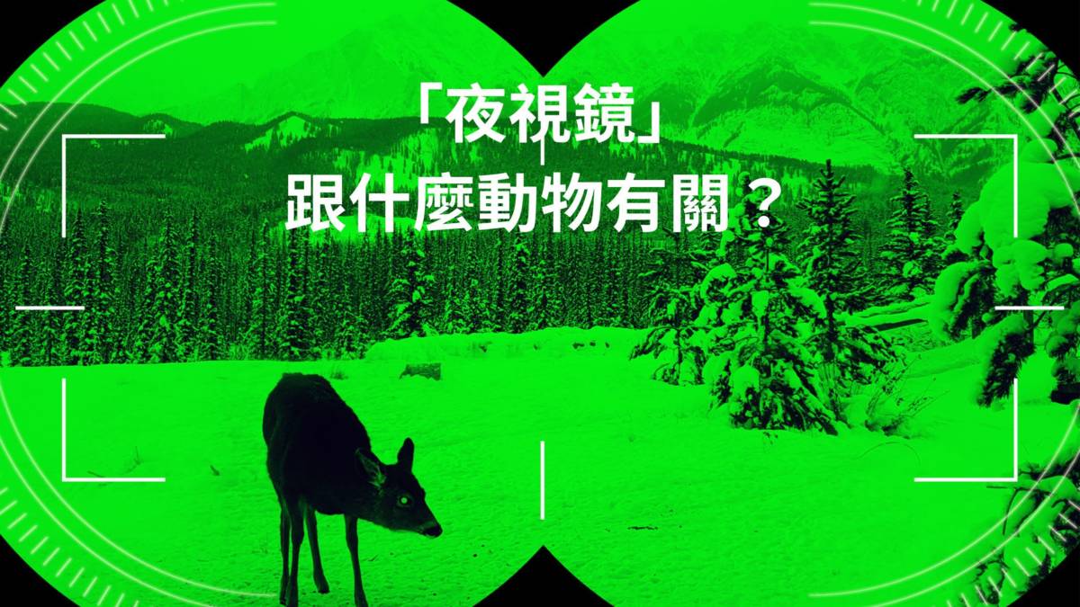 夜視鏡