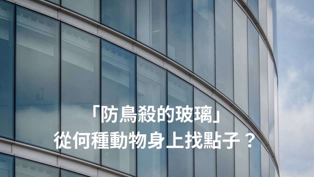 玻璃