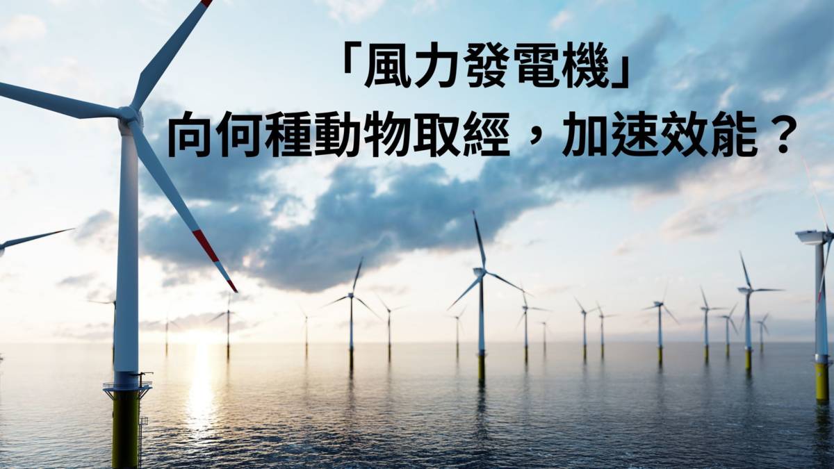 風力發電機