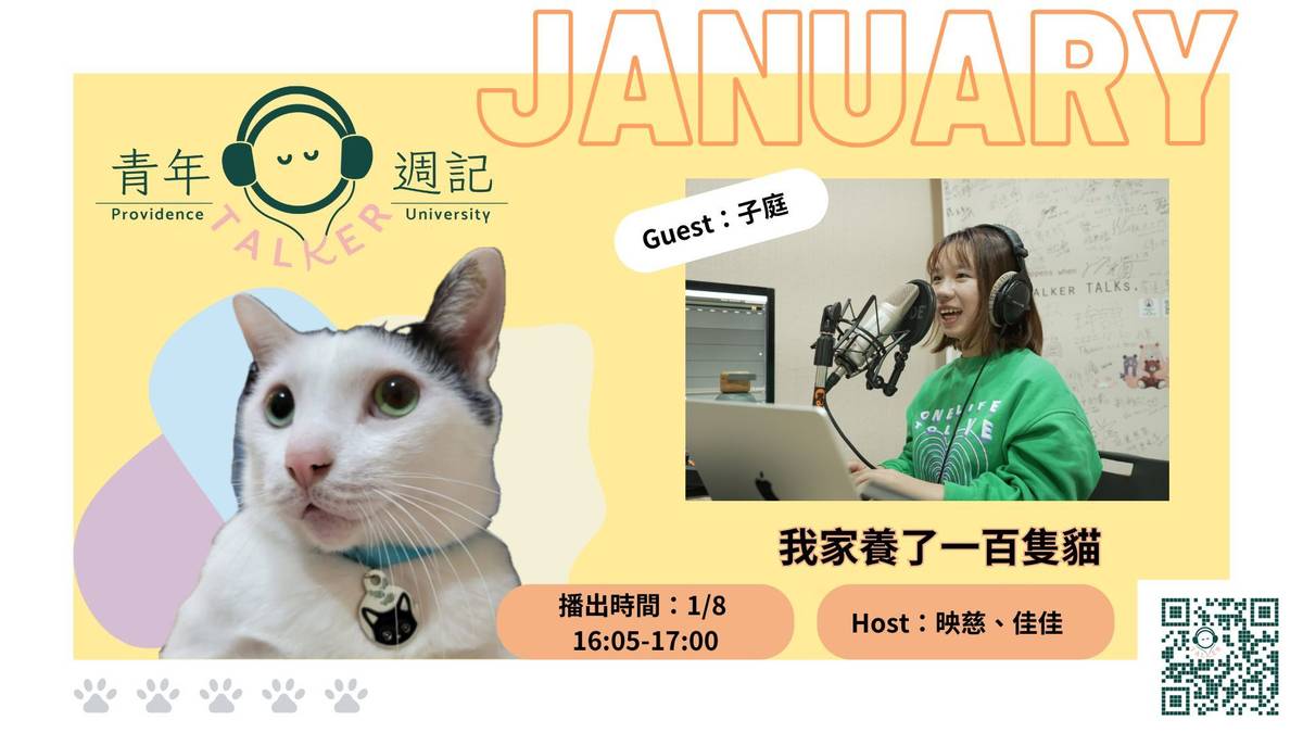 我家養了一百隻貓
