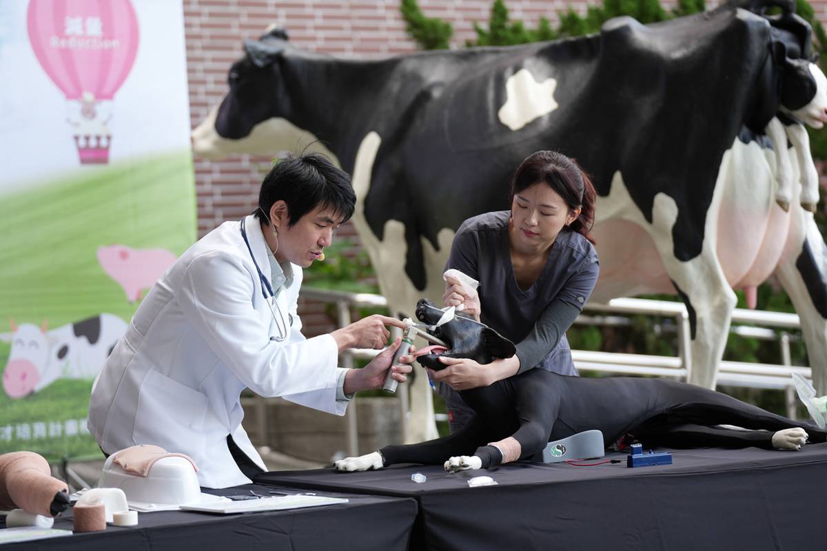 興大獸醫系是全國獸醫仿生教具最齊全的大學