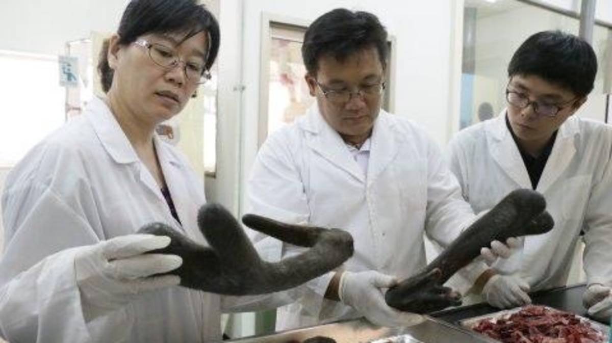 林昆鋒開發許多鹿茸產品希望讓更多人認識臺灣鹿茸(圖片來源：林昆鋒提供)