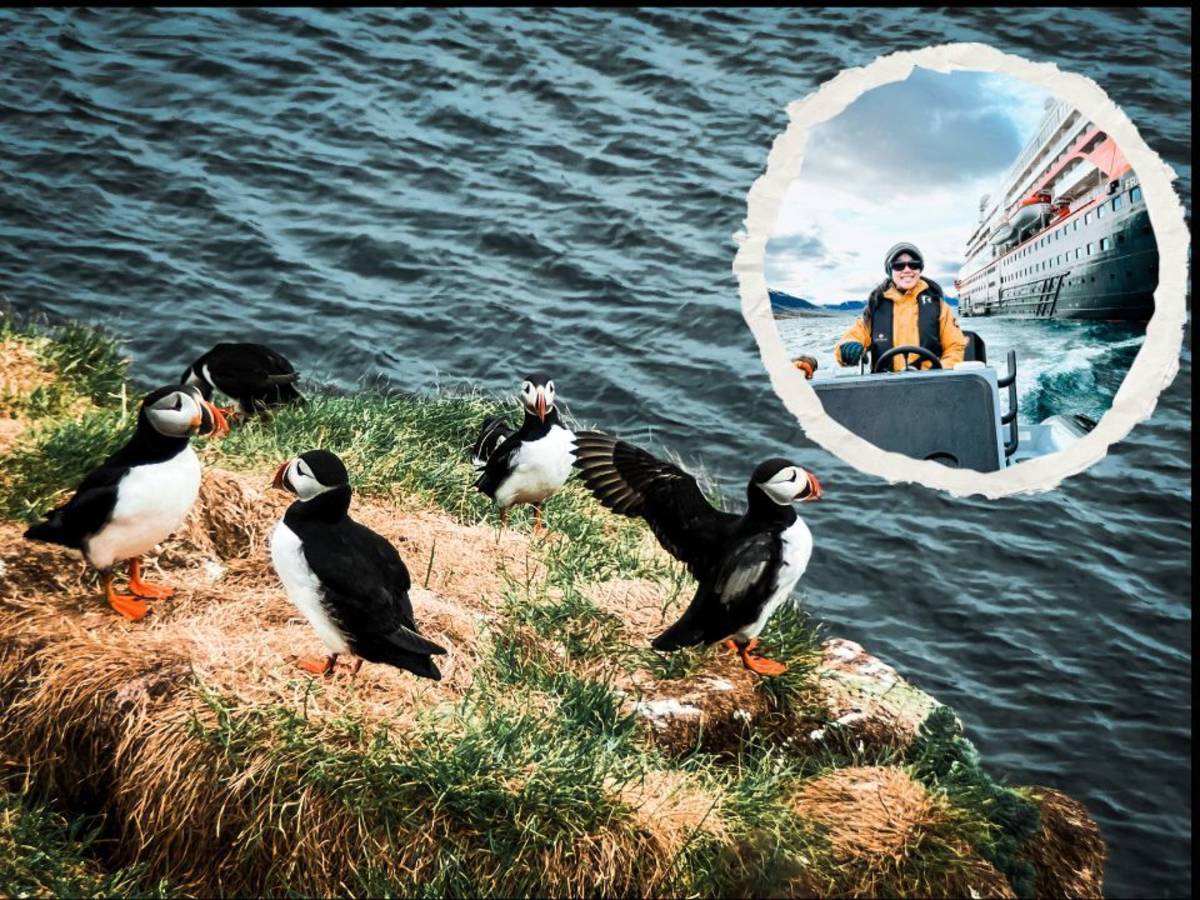 Noniko遊輪女孩 提供還冰島美景照片

puffins 海鸚

外號又稱  北極企鵝?????